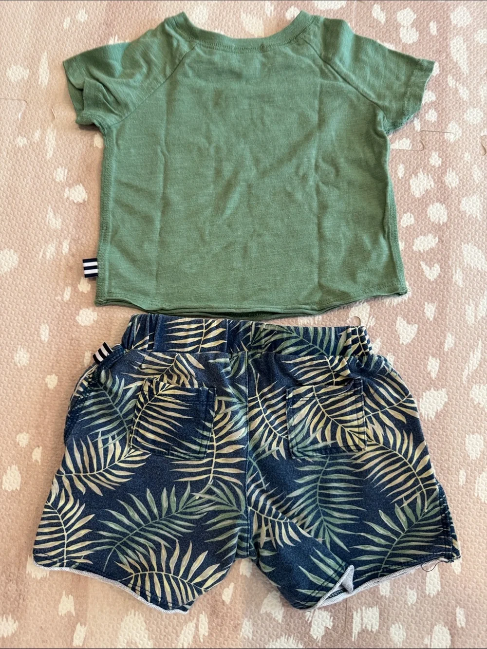 Splendid Boys Tropical Palm Print Shorts & Green Tee Set 18-24M